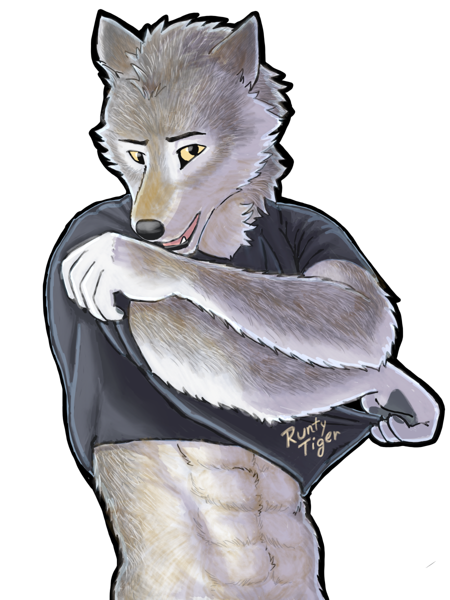 Male wolf furry