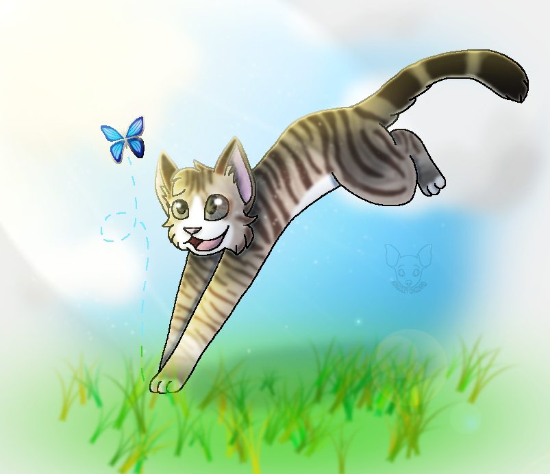 Cat 2024 chasing butterfly