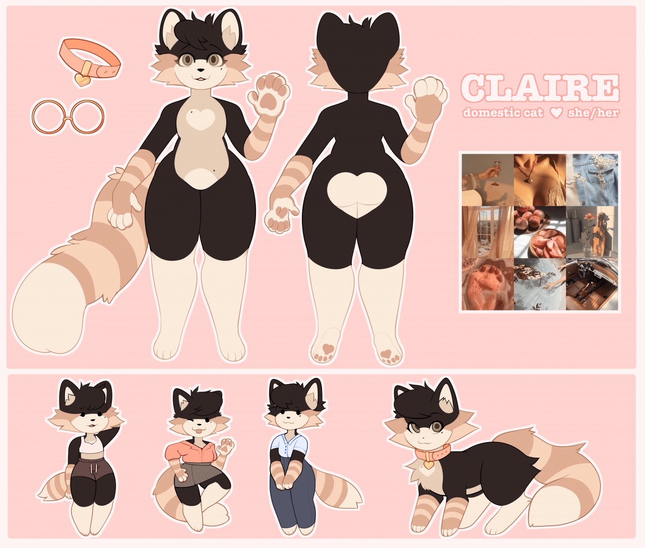 claire refsheet