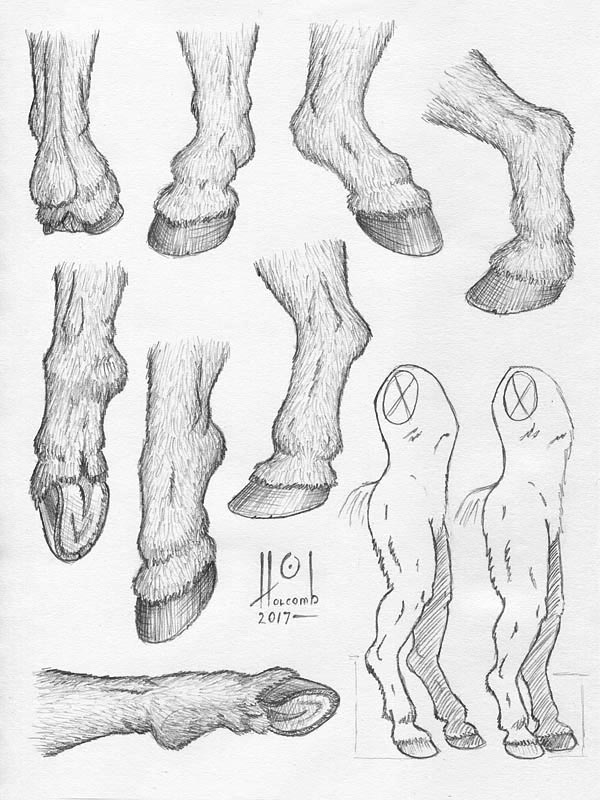 horse hooves drawing