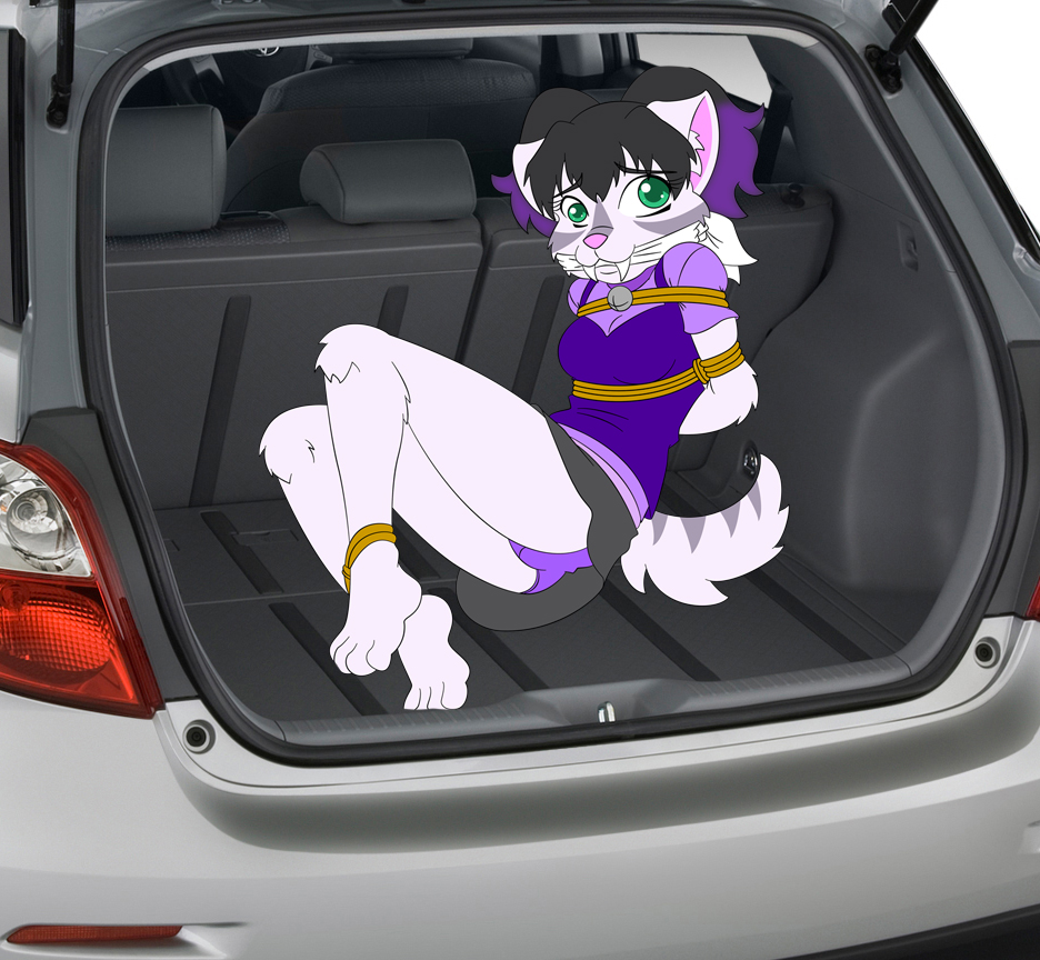 Toyoto Matrix Newest Feature... KIDNAPPING TRUNK SPACE! by RyuseiHikari --  Fur Affinity [dot] net
