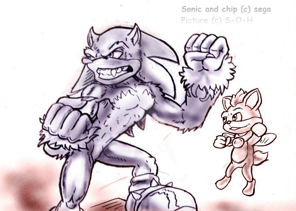 Sonic the Werehog, Scratchpad