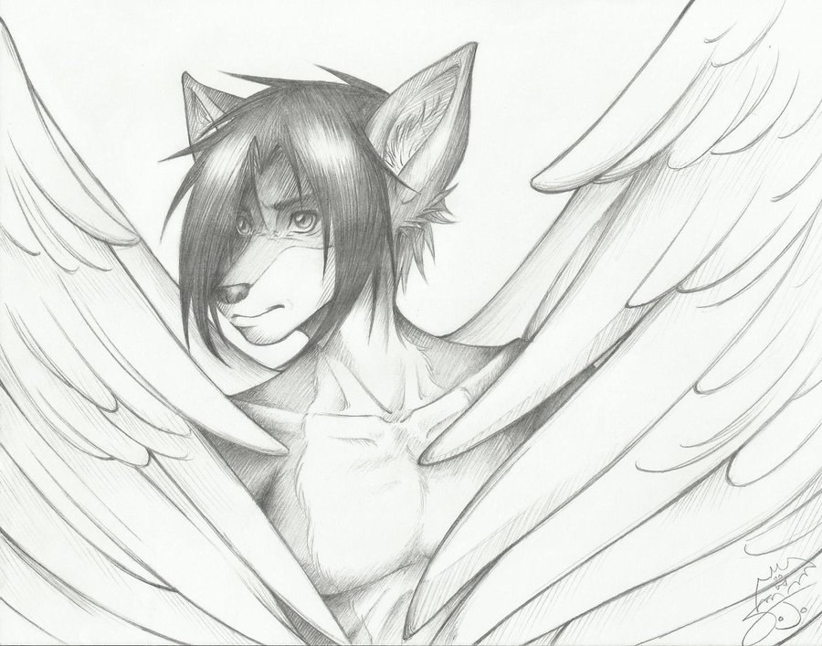 wolf drawings in pencil with wings