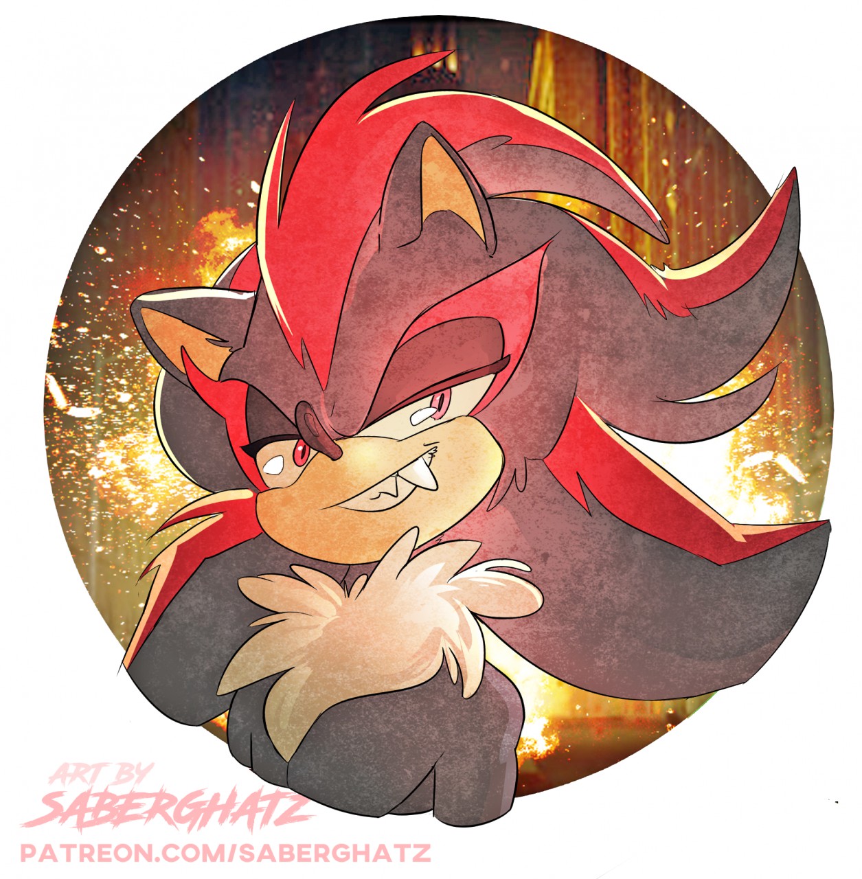 Shadow the edgehog, Shadow The Hedgehog