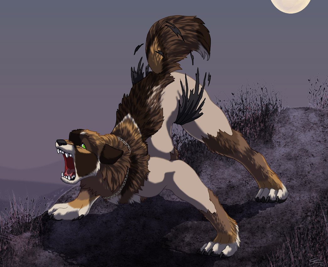 1045 x 850. werewolf. 