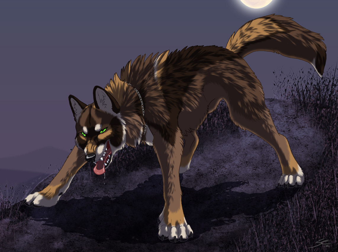 Size. werewolf. 