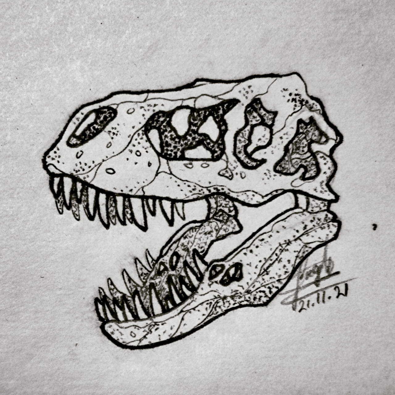 dinosaur whole head skeleton outline black ink on  Stable Diffusion   OpenArt