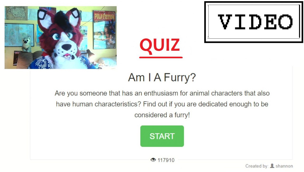 Furry test quiz