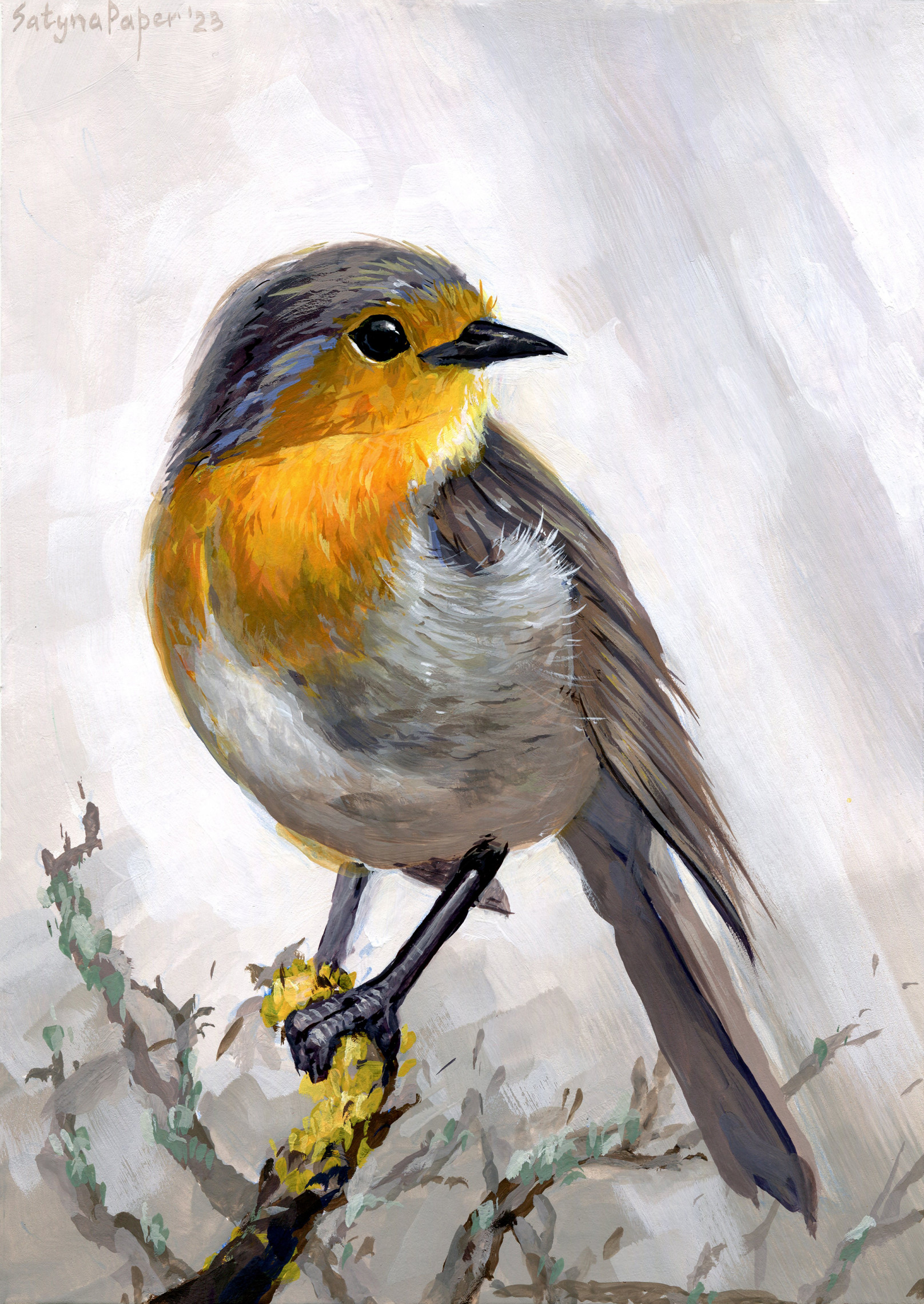 "Birds": Robin.