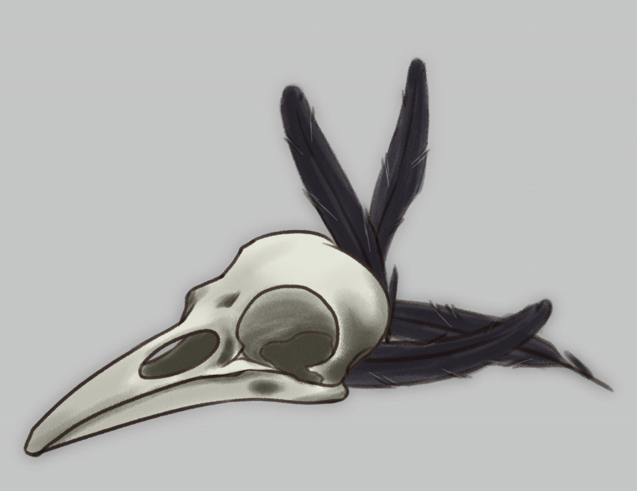 crow skull2