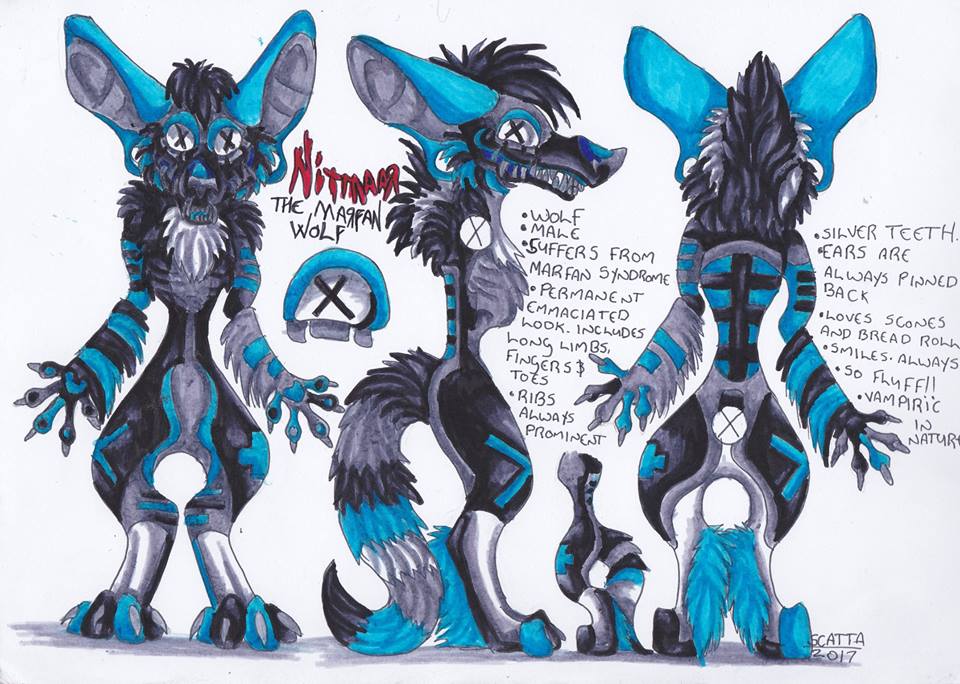 Maya reference sheet (fixed) by SomeWandomNoob -- Fur Affinity [dot] net