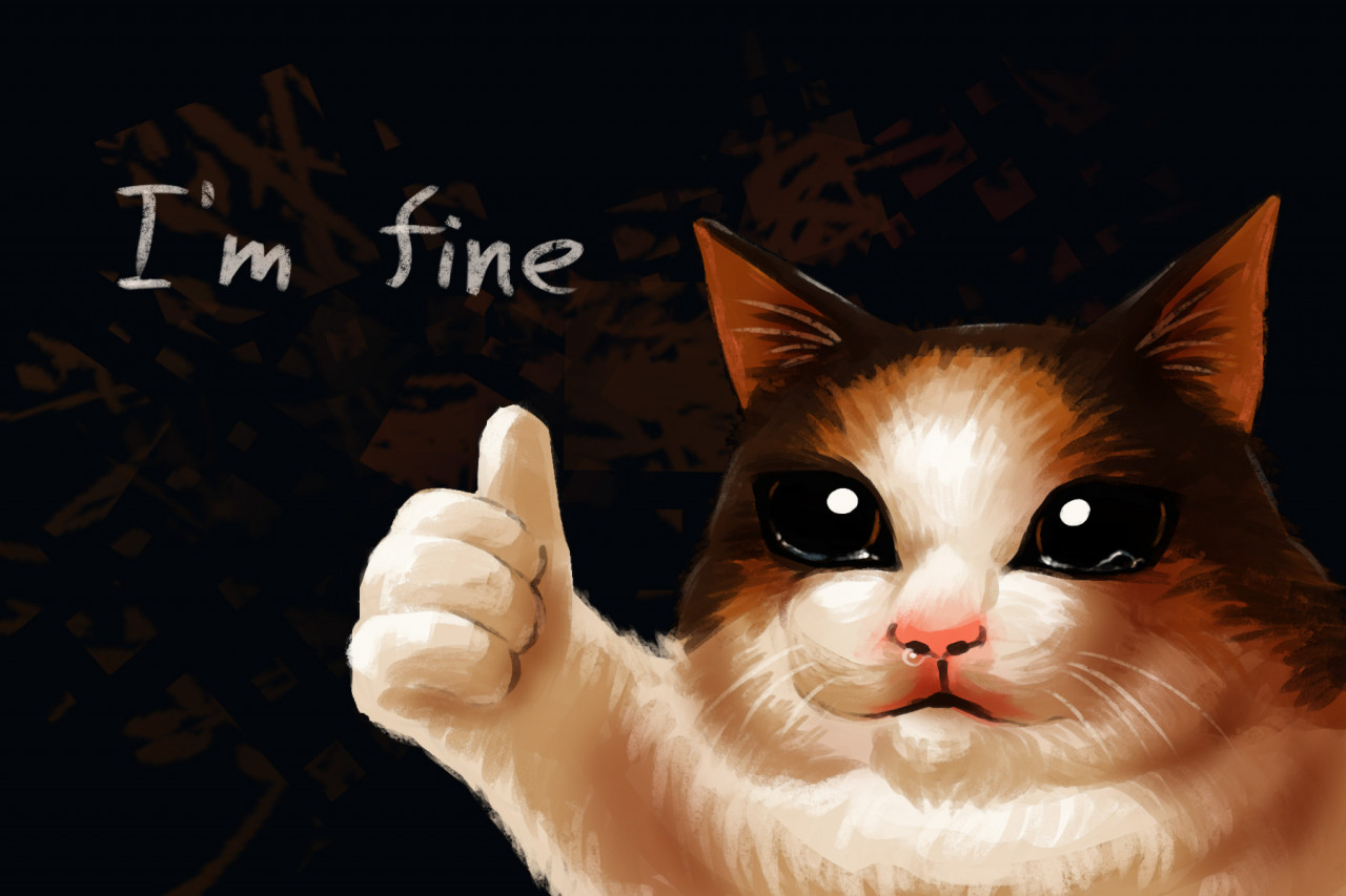 Sad Cat meme [ANIM] by lgag006k043 -- Fur Affinity [dot] net