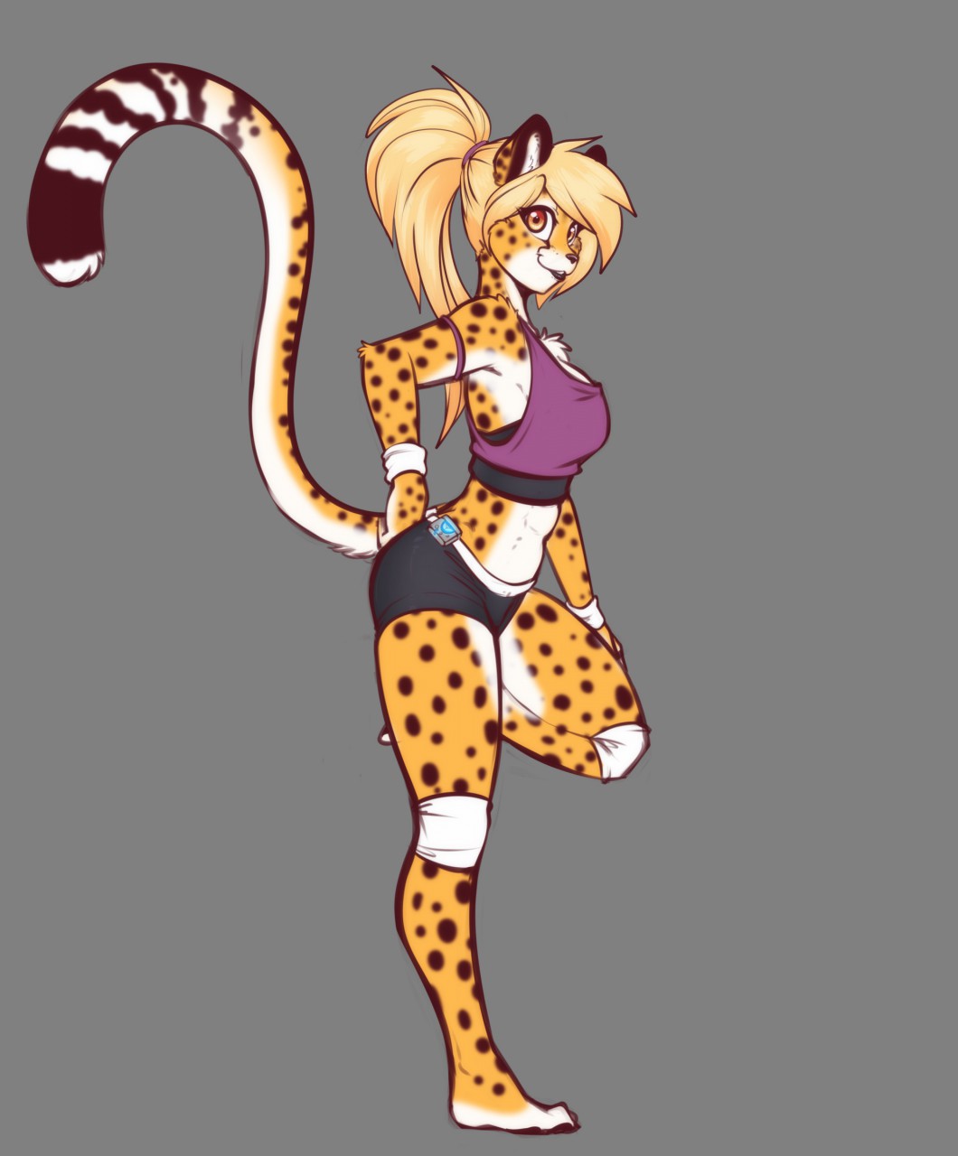 Mihari cheetah