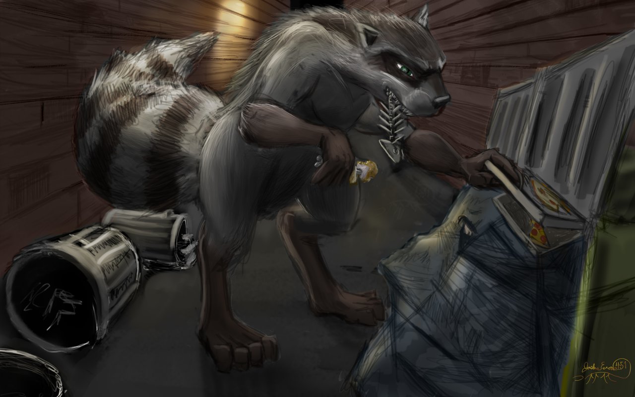 Wereraccoon