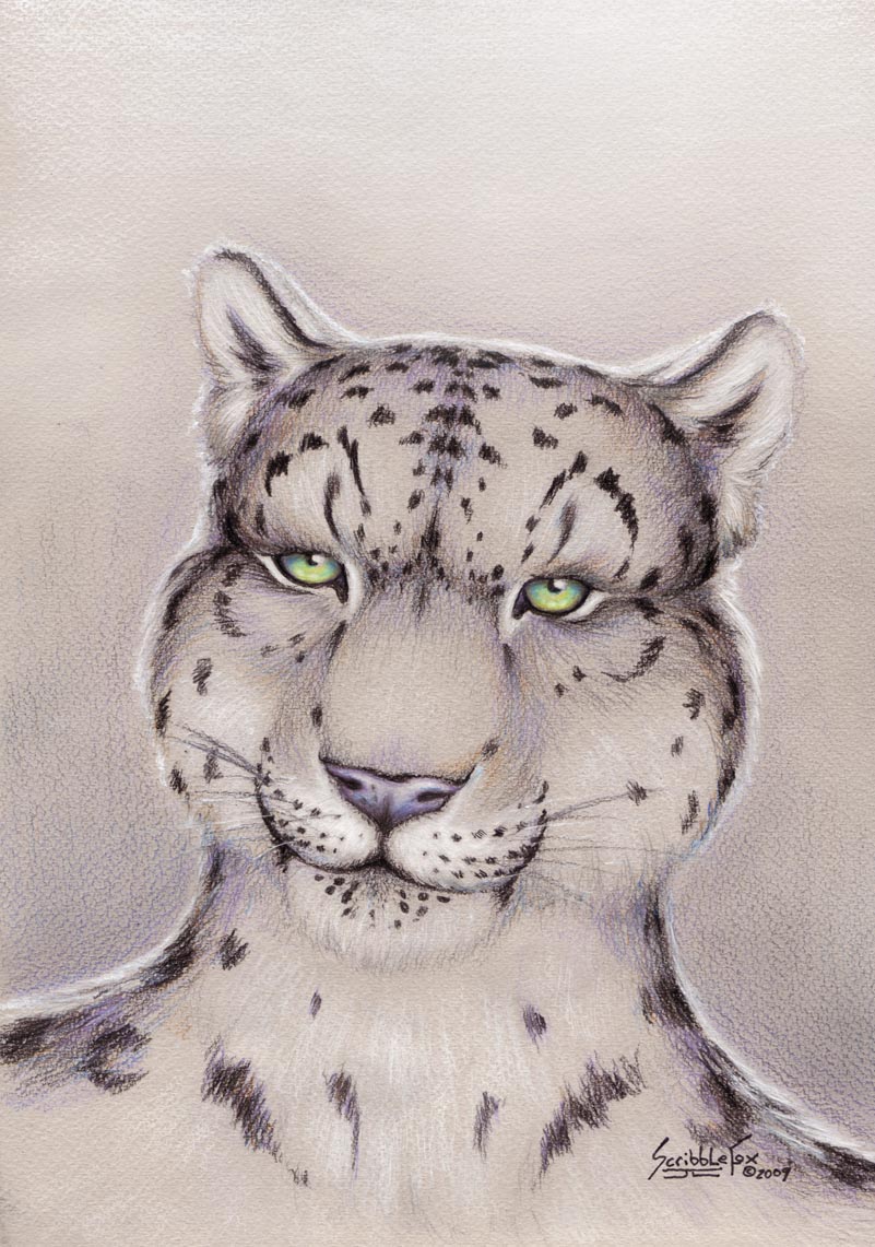 Snow Leopard by SingapuraCat on deviantART | Snow leopard tattoo, Snow  leopard, Leopard drawing art