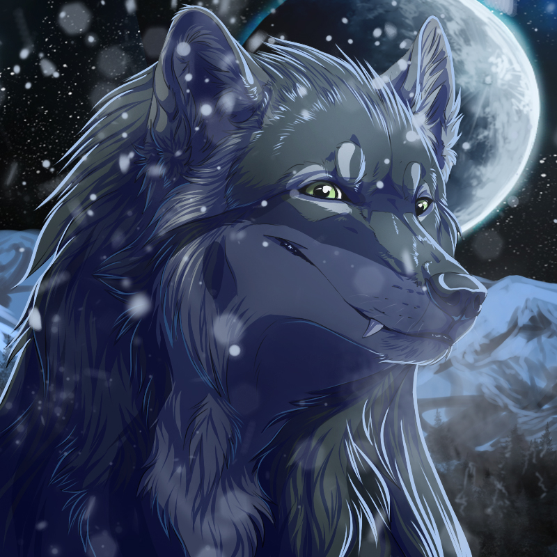 Nothing like winter! by Selendris -- Fur Affinity [dot] net