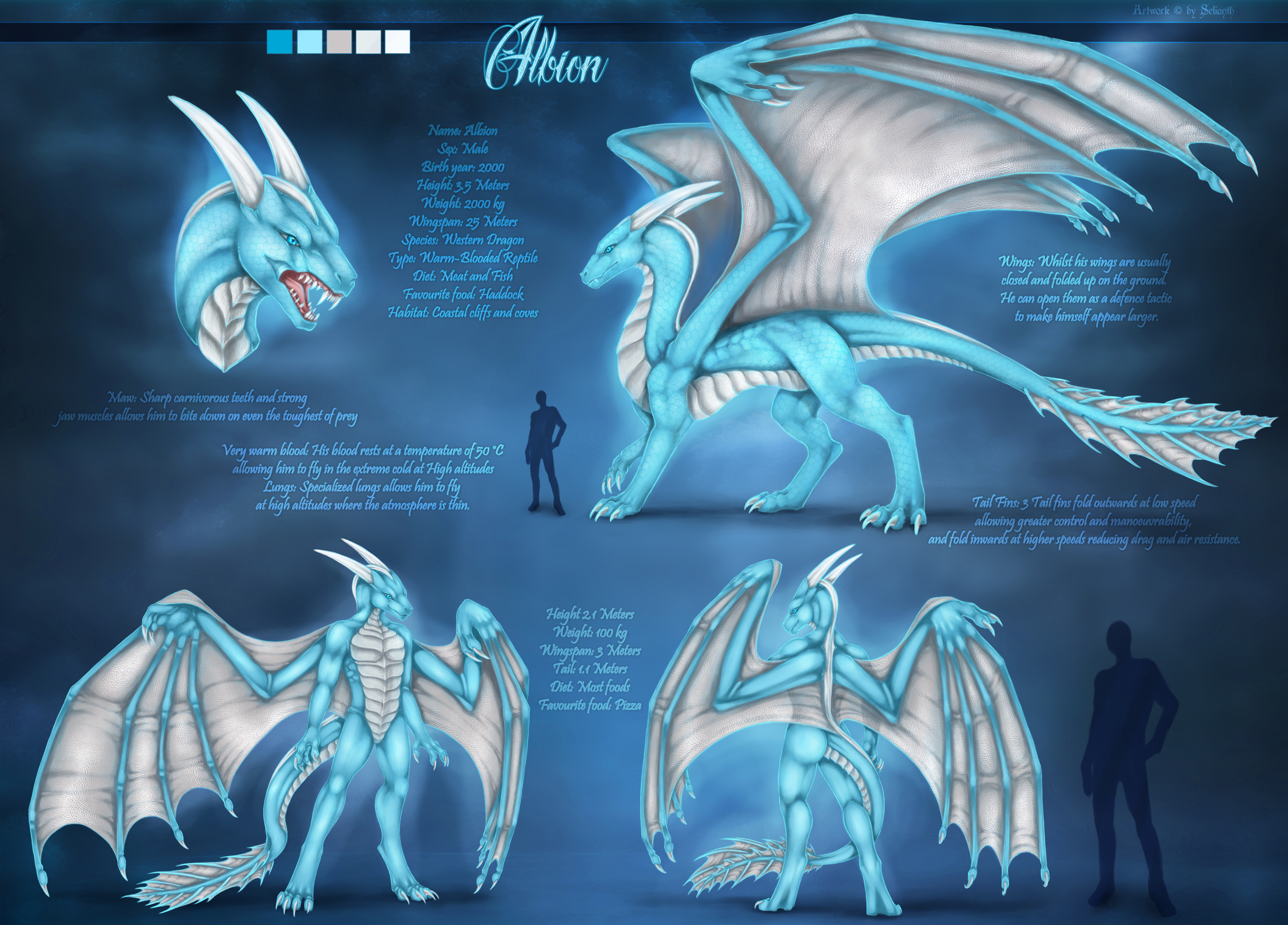albion dragon