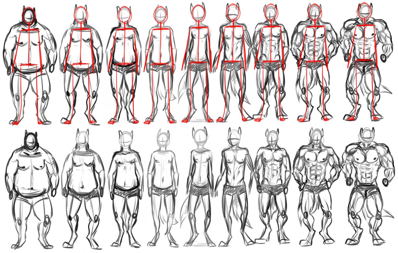 Drawing Body Types Male Goimages Place