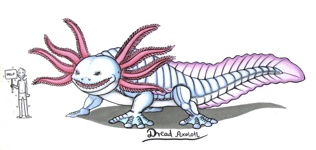 Deepwoken  Axolotl Race (Designed by me!) 