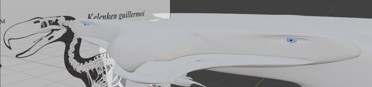 Profile Banner image