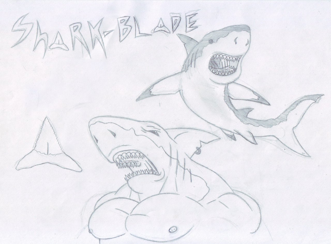 Shark Pencil Sketch  Etsy