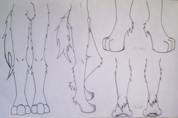Male Foot Paw Reference By Shiahoupanda Fur Affinity Dot Net