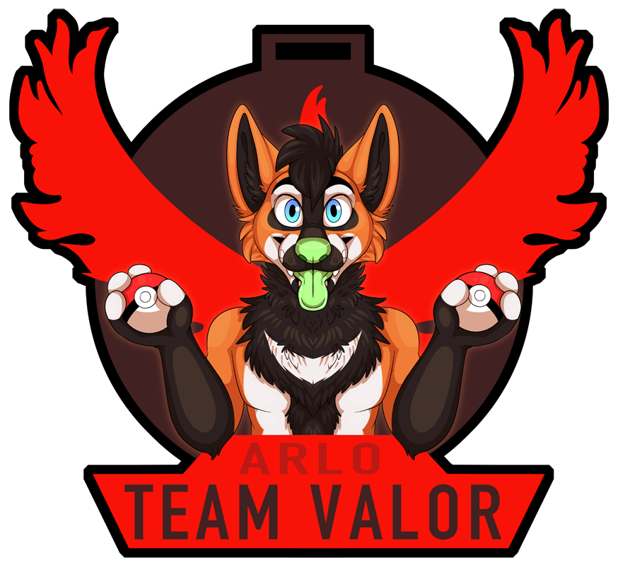 Arlo Team Valor by Shikakaka Fur Affinity [dot] net