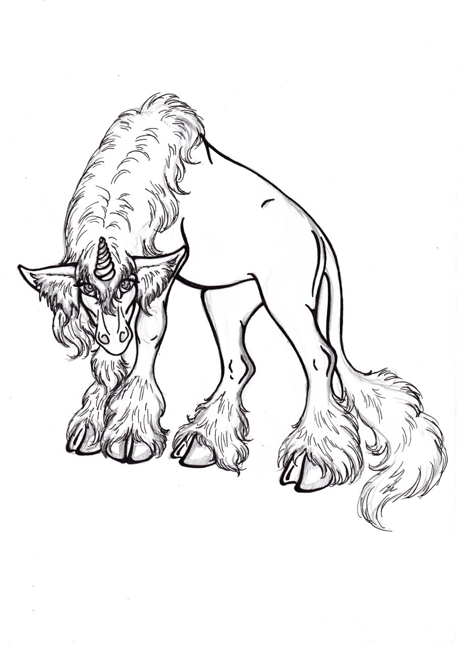 gypsy vanner coloring pages