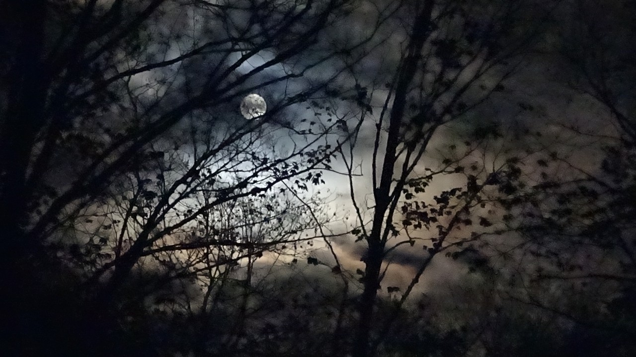 net full moon