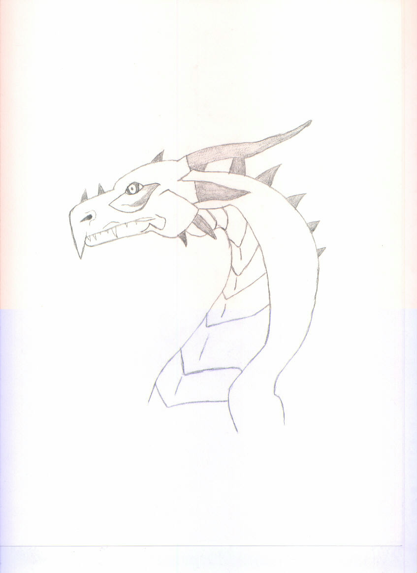 dragon head side view