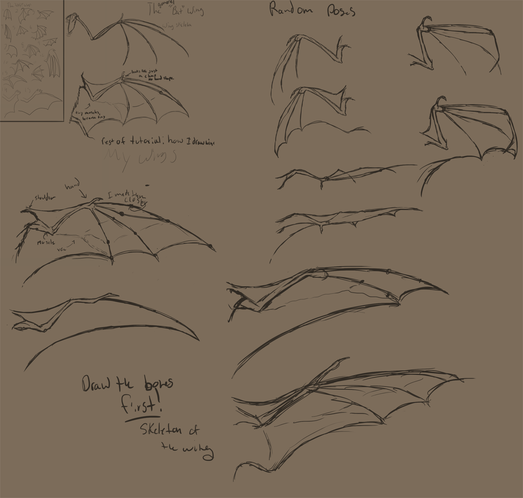 folded bat wings