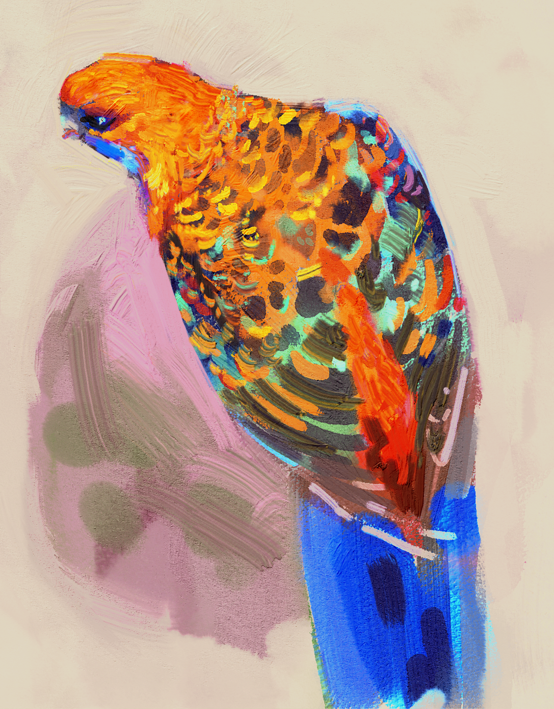 birb sketch