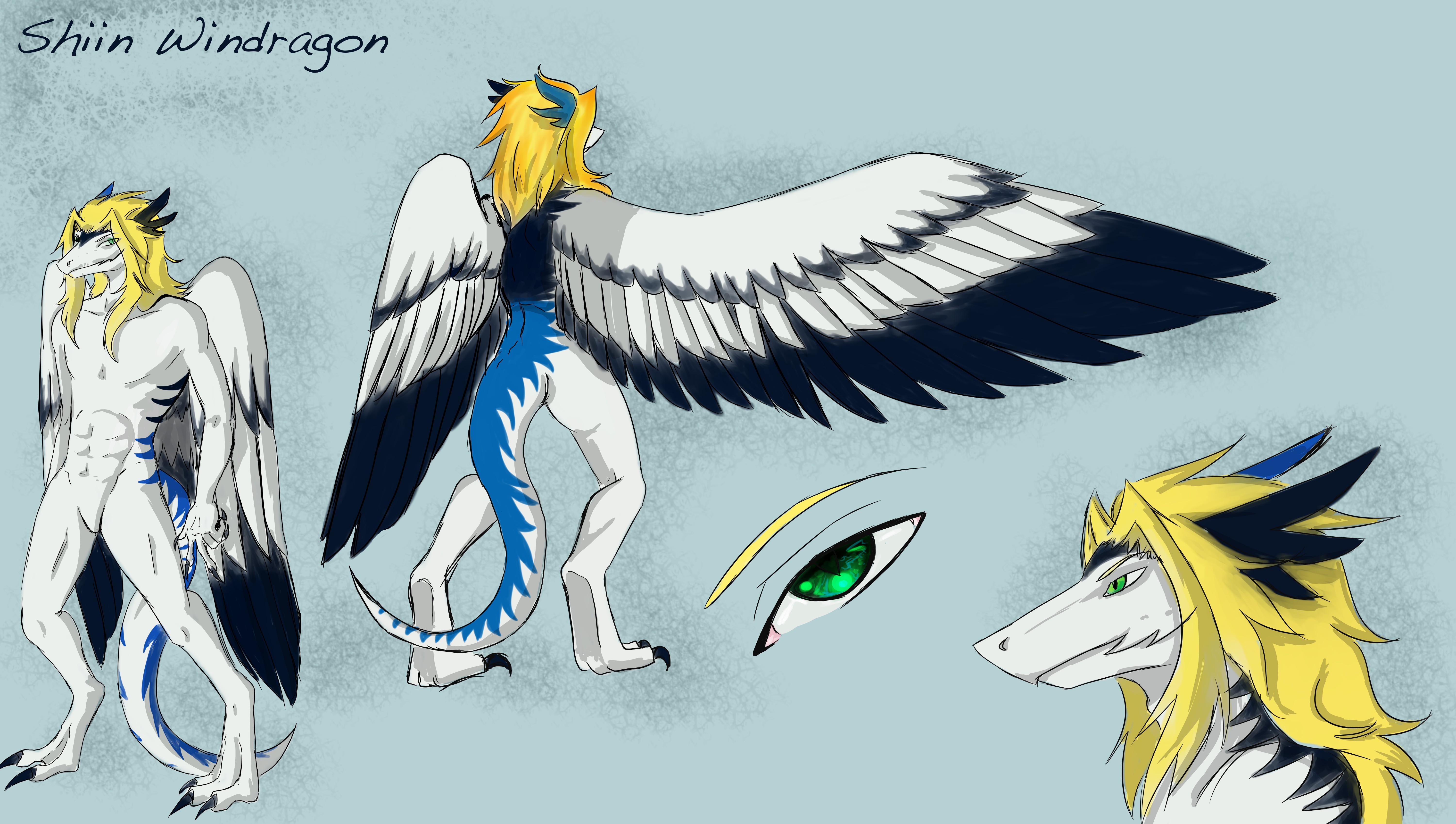 Comm.) Shiin Windragon ref- Ver. 1 by SilentMasquerade -- Fur Affinity  [dot] net