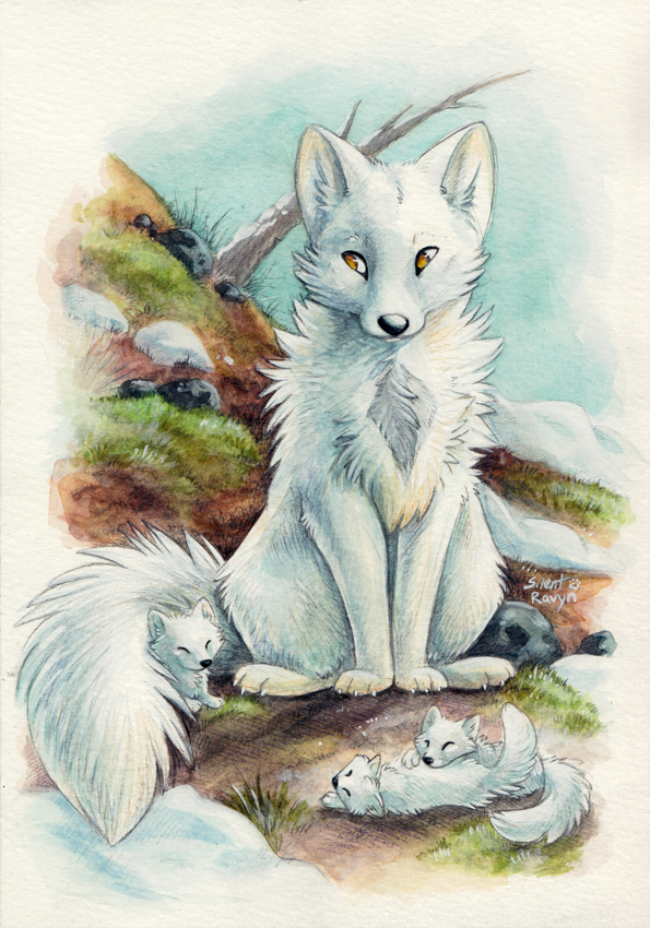 Winter Fox Art kit for Girls and Boys – Teresa's Spot for All Things Art