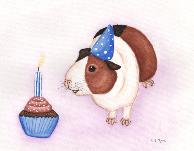 Guinea Pig Birthday Card By Silve Fur Affinity Dot Net