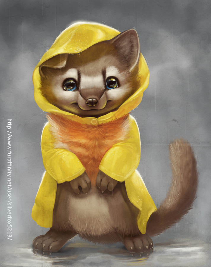 Marten in Raincoat