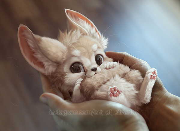 A Handful of Fennec [YCH Inside]