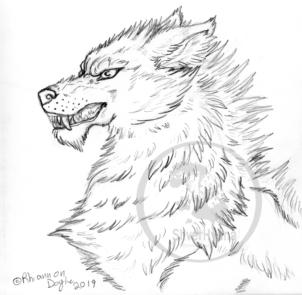 Wolf drawing Drawing by Murphy Elliott - Pixels
