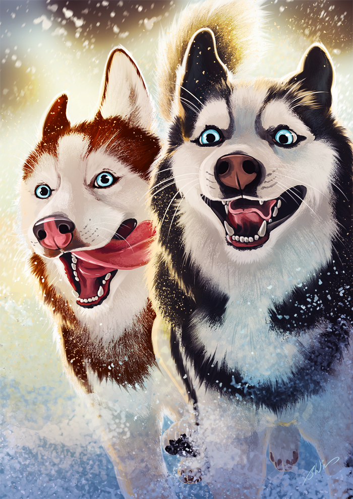 Huskies - Personal Art