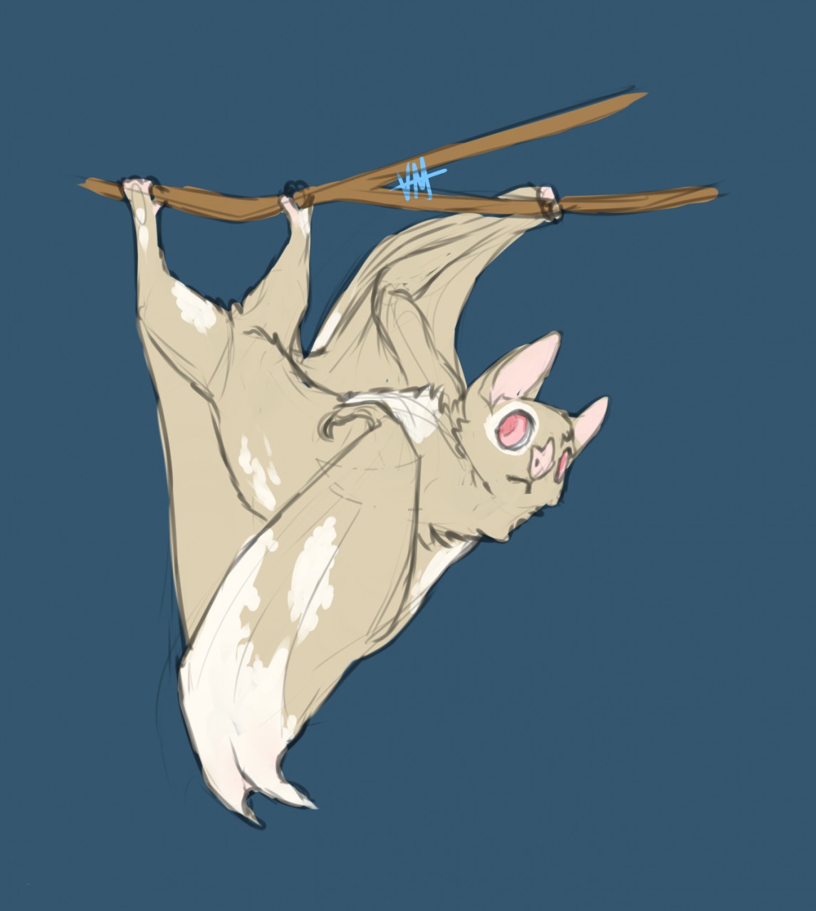 Yiff bat