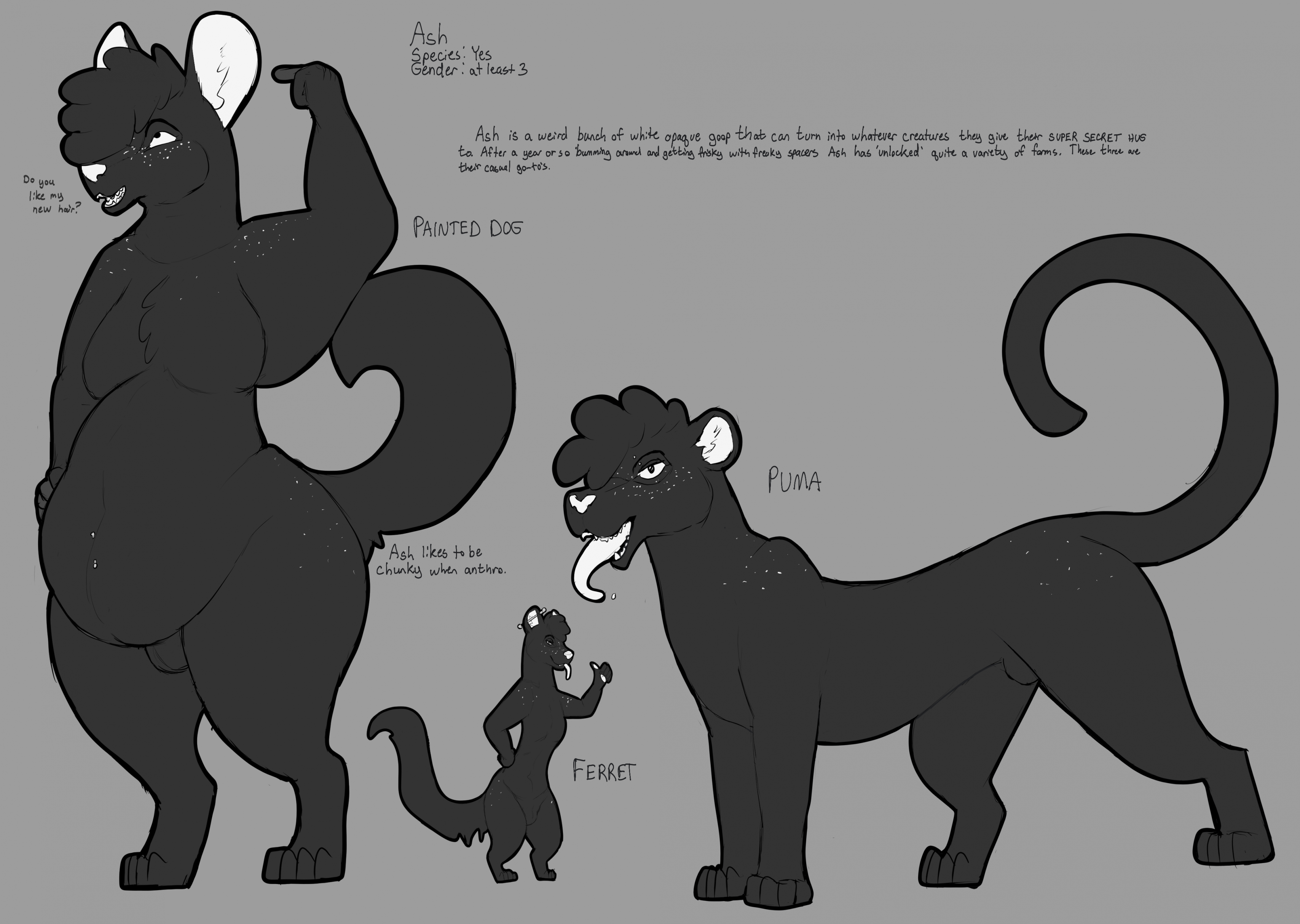 Ash Simple Character Sheet by SketchyGenet Fur Affinity dot net