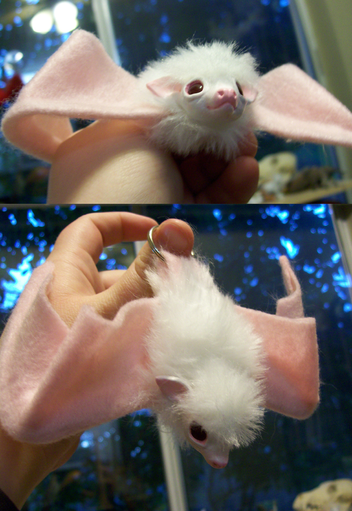 albino bat