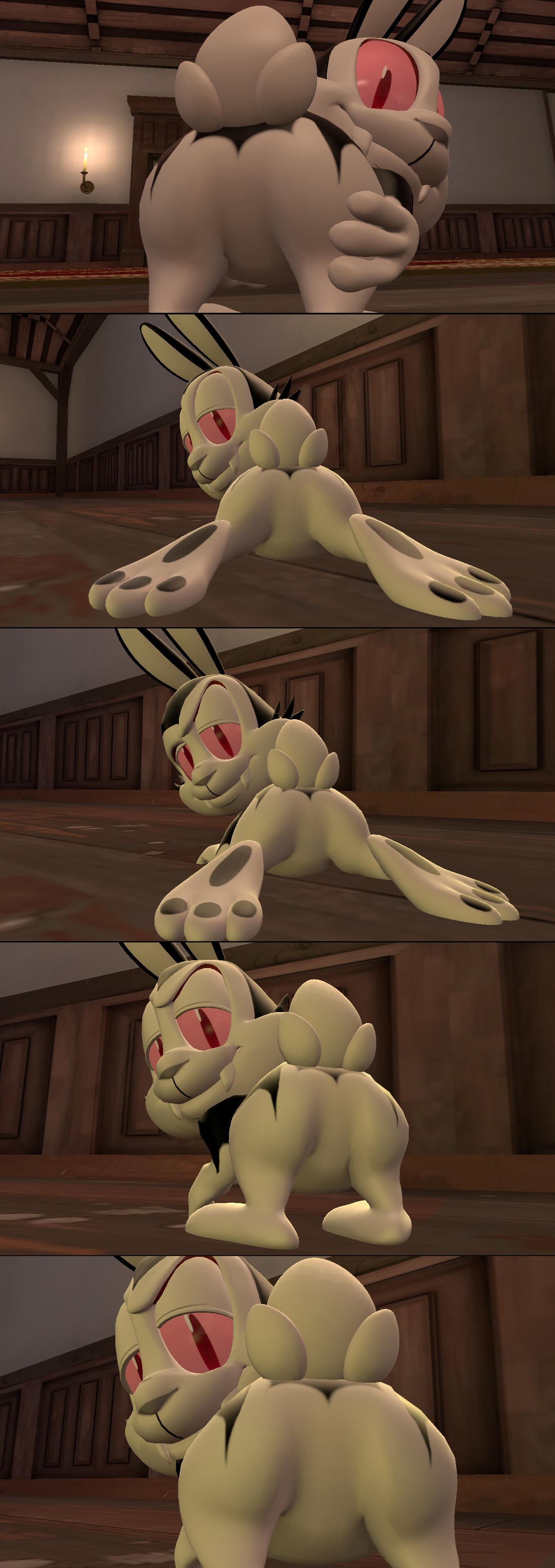 Bunnicula butt