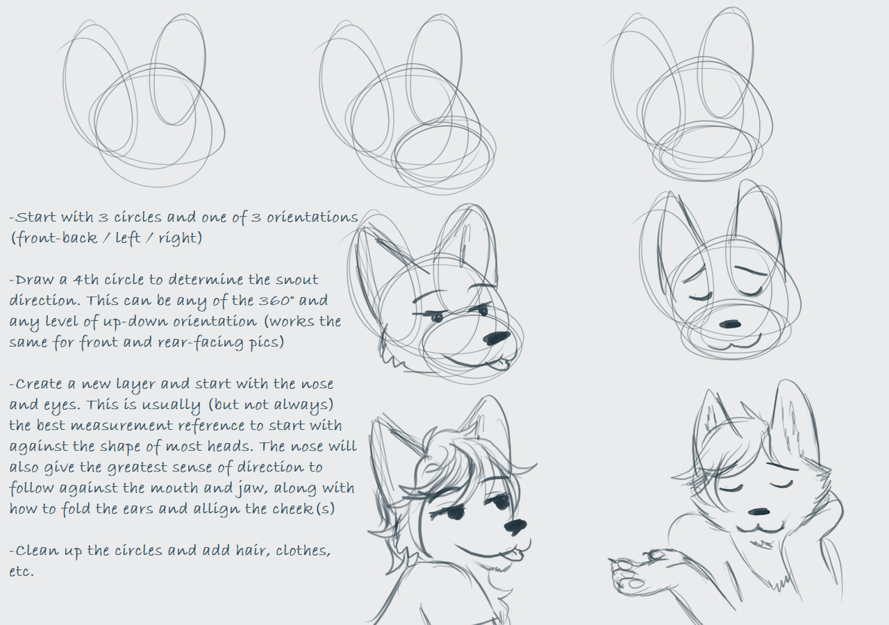 Sky's Tutorials : (1) Head Angle by SkyMafia -- Fur Affinity [dot] net