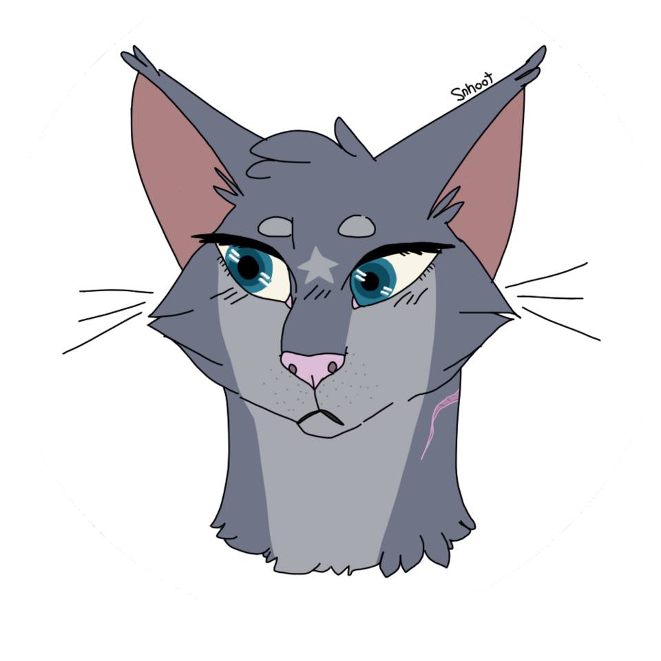 Blue Star - Warrior Cats by snhoot -- Fur Affinity [dot] net
