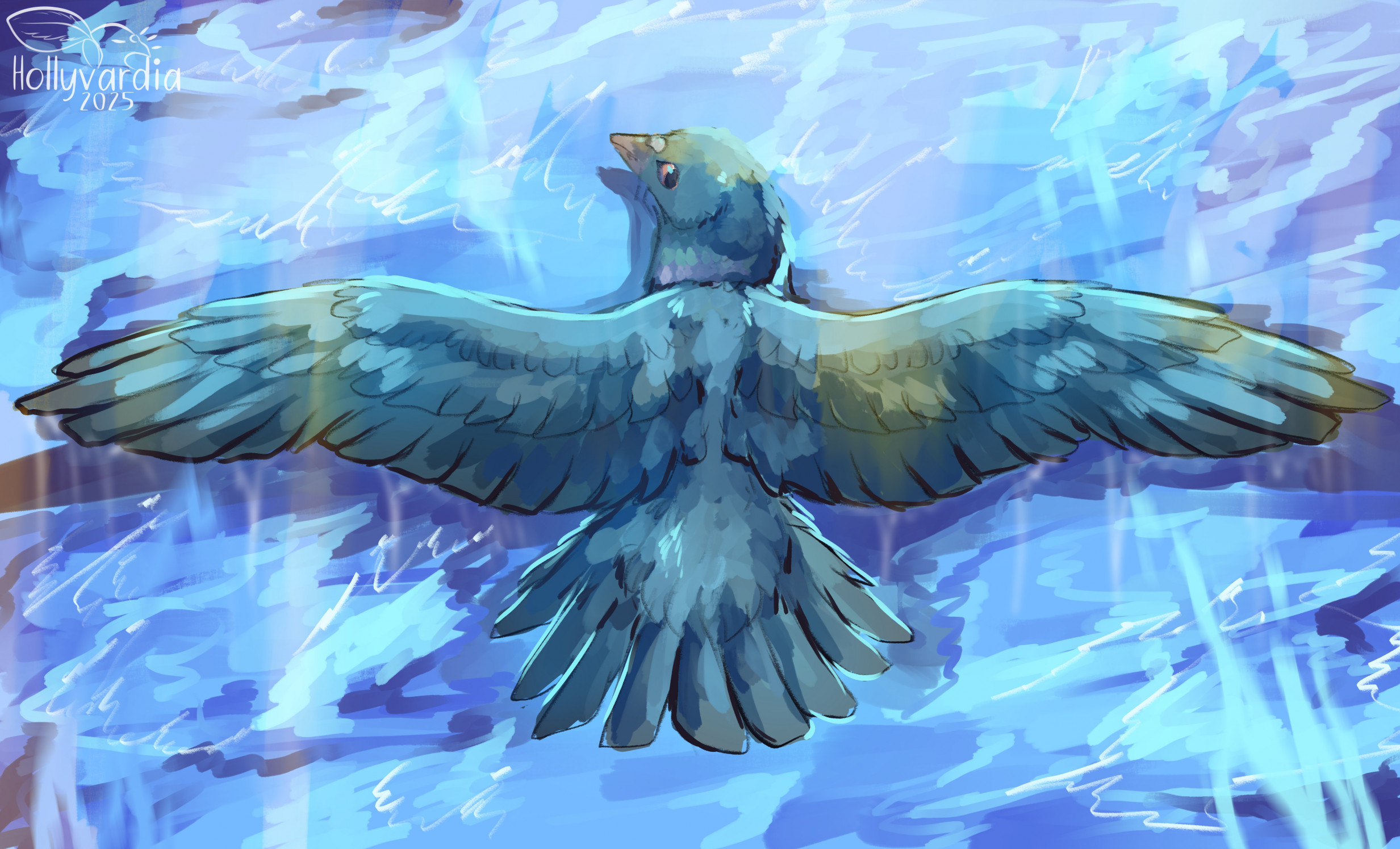 Soaring over Waters