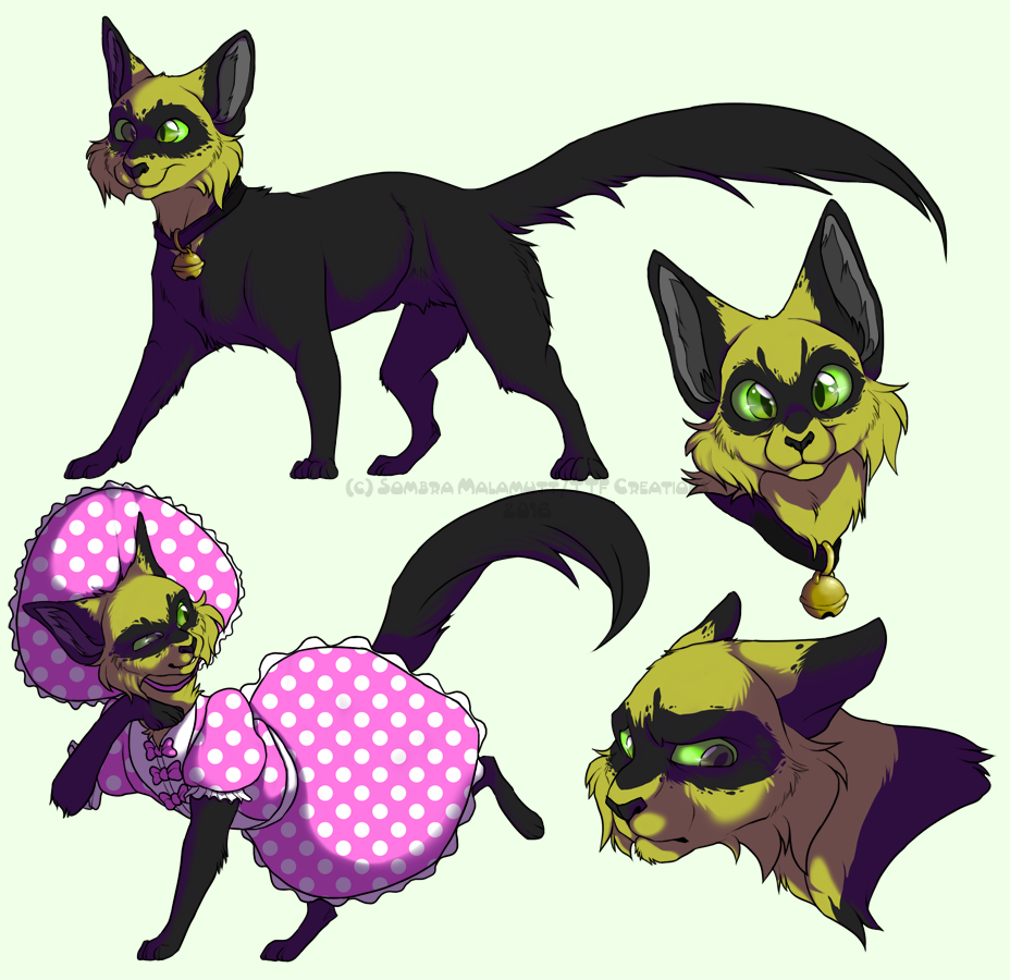 Actual Cat Chat Noir by SombraStudio -- Fur Affinity [dot] net