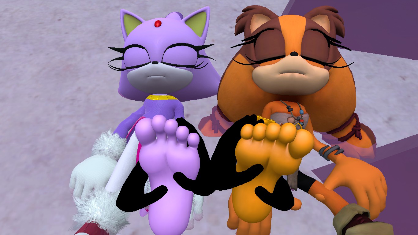 Blaze The Cat & Sticks The Badger Sleepy Foot Massage by SomnoFeetia8 --  Fur Affinity [dot] net