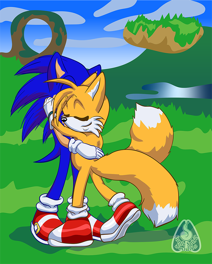 I drew fanart of Tails hugging Sunky. : r/milesprower