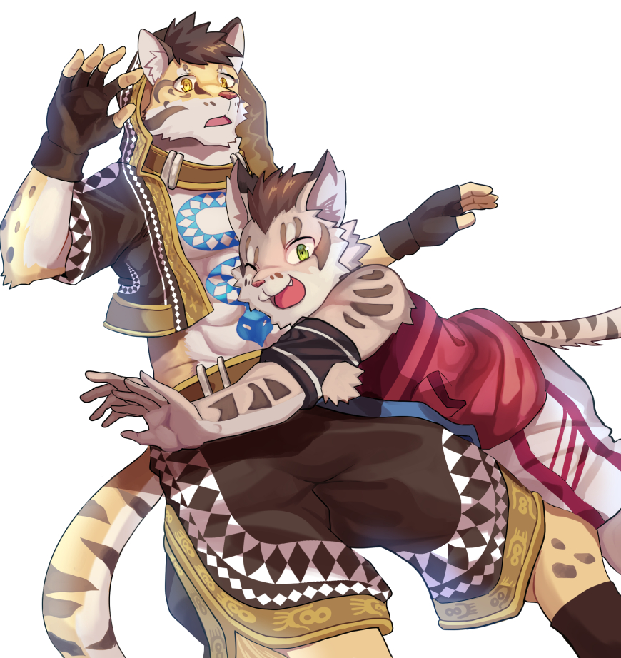 shu chi nekojishi